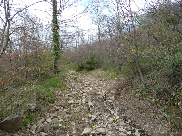 Uno strada sterrata Toscana