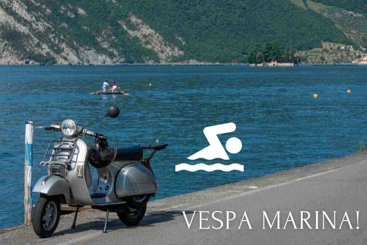 Sea Canva 25_12_2022 NextMoto