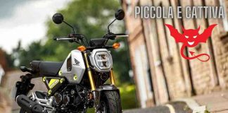Cattiva Canva 13_1_2023 NextMoto
