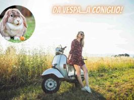Coniglio Canva 18_1_2023 NextMoto