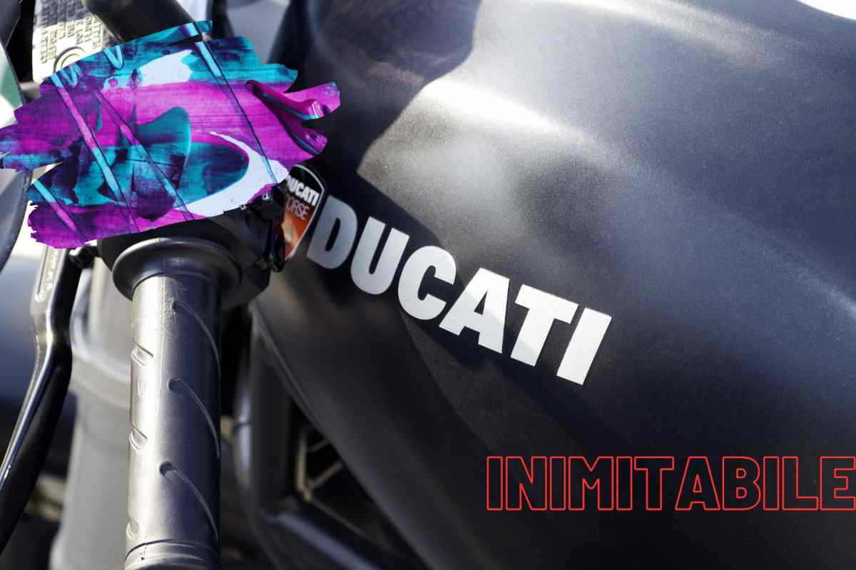 Ducati opera arte 2732023 NextMoto.it