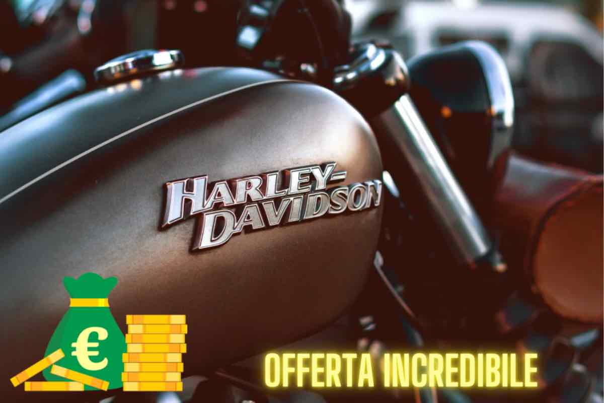 Harley Canva 22_03_2023 NextMoto