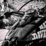 Harley-Davidson Cina 2832023 NextMoto.it