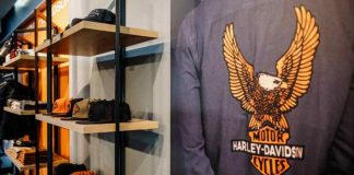Harley-Davidson, presentato un modello mai visto prima - NextMoto.it