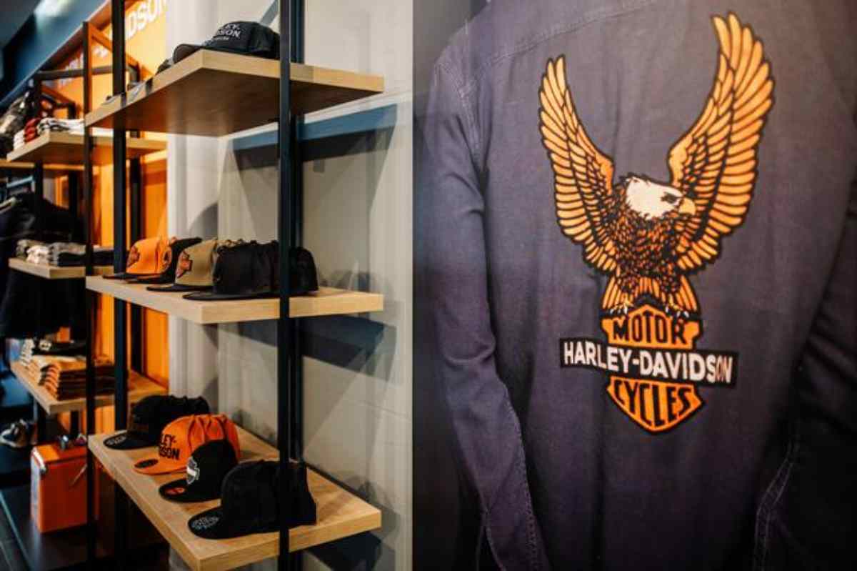 Harley-Davidson, presentato un modello mai visto prima - NextMoto.it