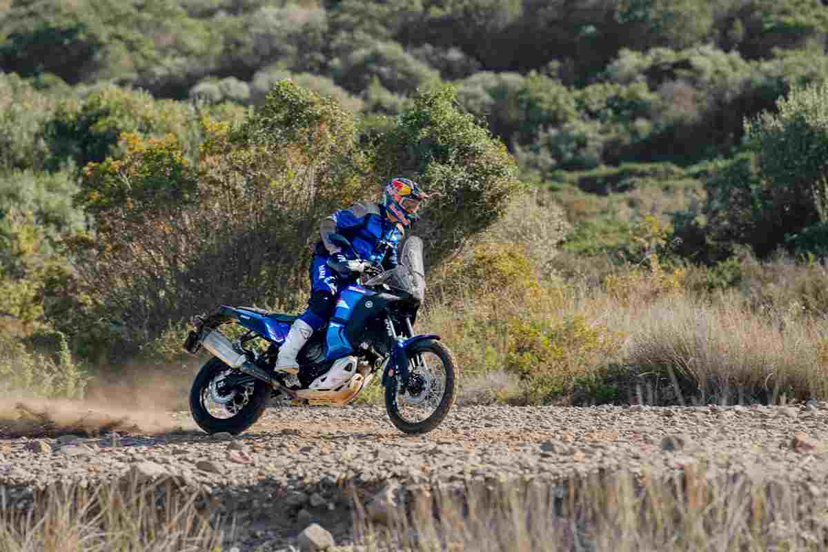 Yamaha Tenerè World Rally, tutto sul modello