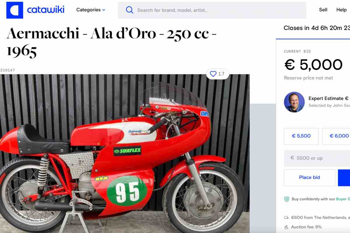 Aermacchi Ala Oro all'asta