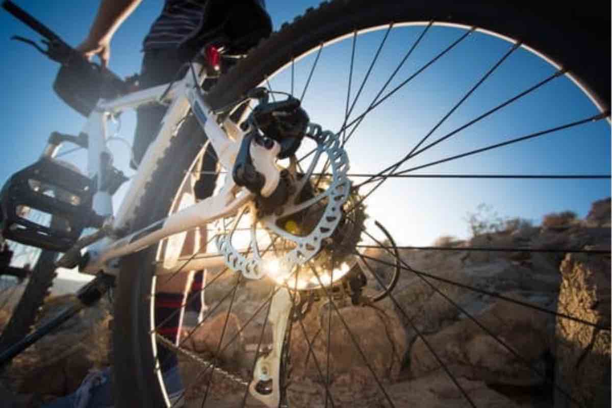 Fantic Rampage, tutto sulla nuova Mountain Bike