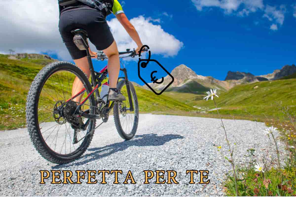 Ebike perfetta