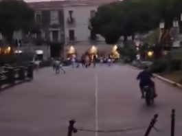 Minimoto Catania