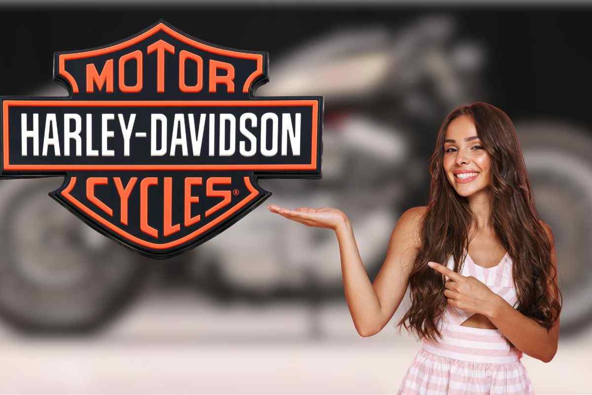 Harley Davidson, custom incredibile