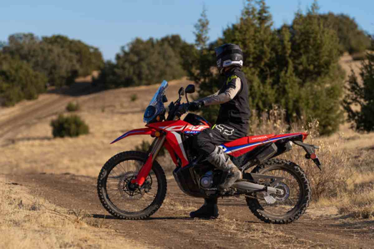 Honda CRF 300 Rally, caratteristiche