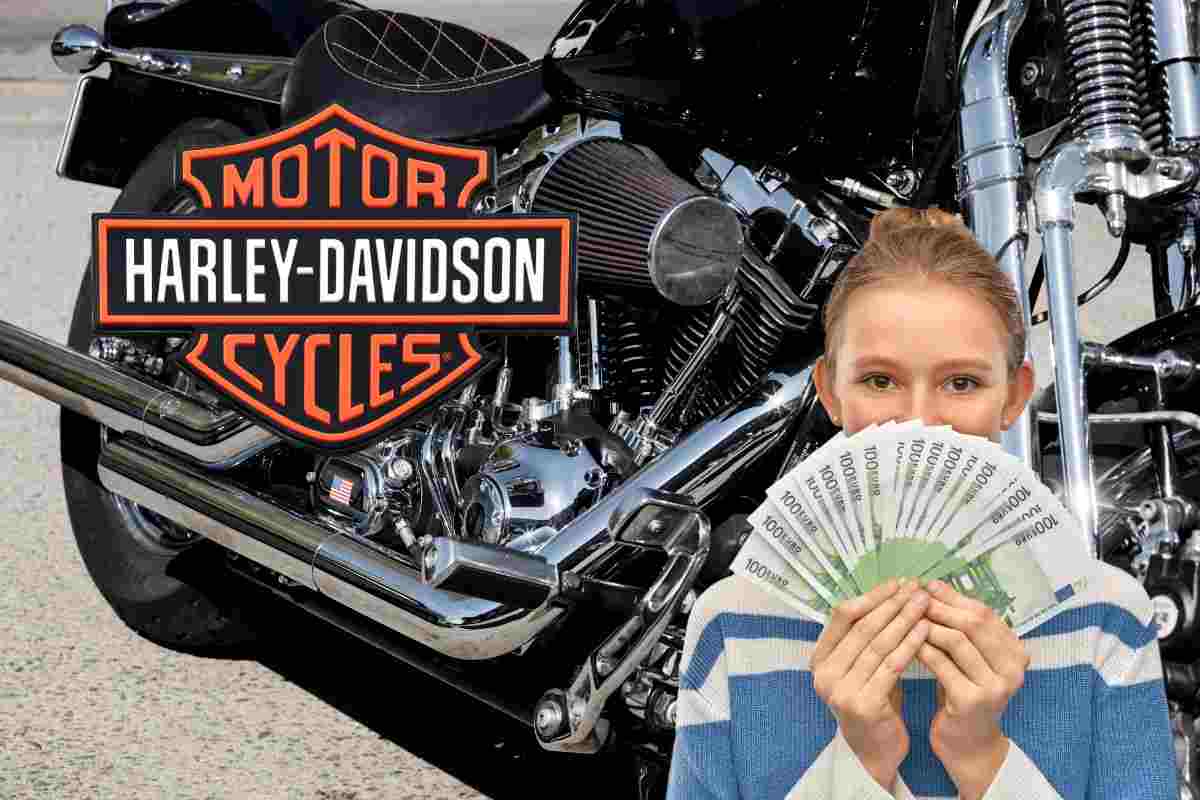 Tutti pazzi per questa Harley low cost: qualità da big, prezzo contenuto