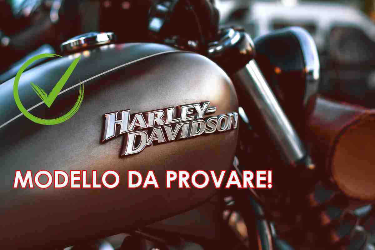 Nuova arrivata Harley Davidson prezzo