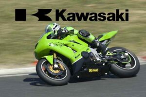 Kawasaki i motivi del suo colore