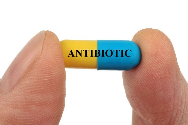 Antibiotico novità moto chinoloni