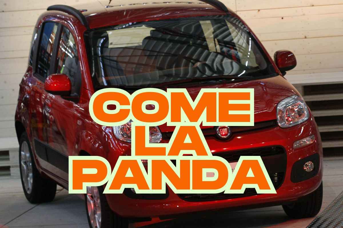 Honda SH125 novità furto record Fiat Panda