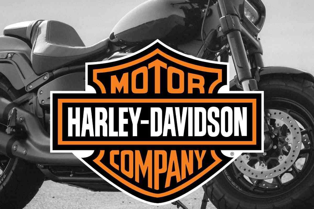 Kolja Rebstock Harley Davidson modelli economici