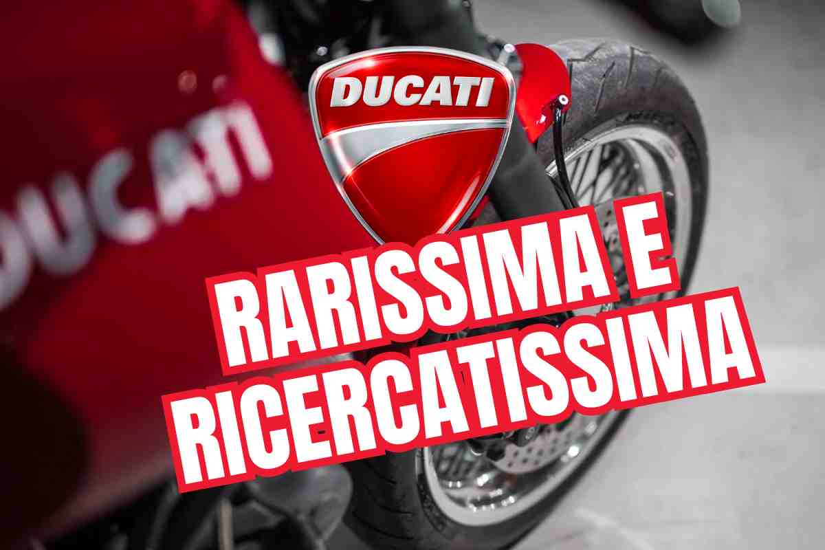 Ducati rara
