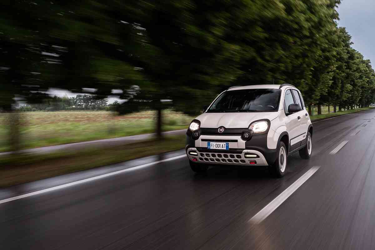 fiat panda