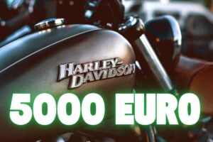 Harley Davidson Sportster 883 modello usato