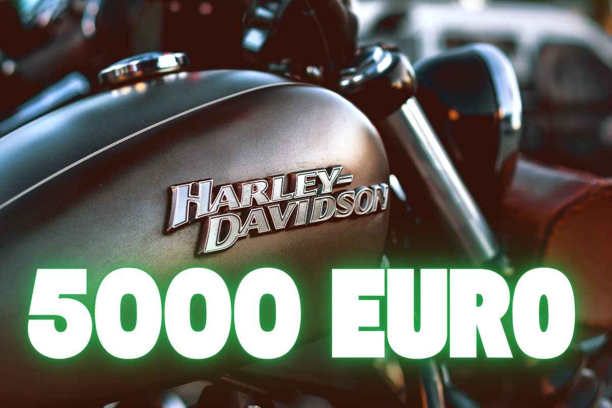 Harley Davidson Sportster 883 modello usato