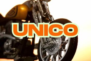 Moto RoninSu Honda Cub Cina novità