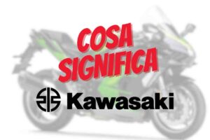 Kawasaki cosa significa