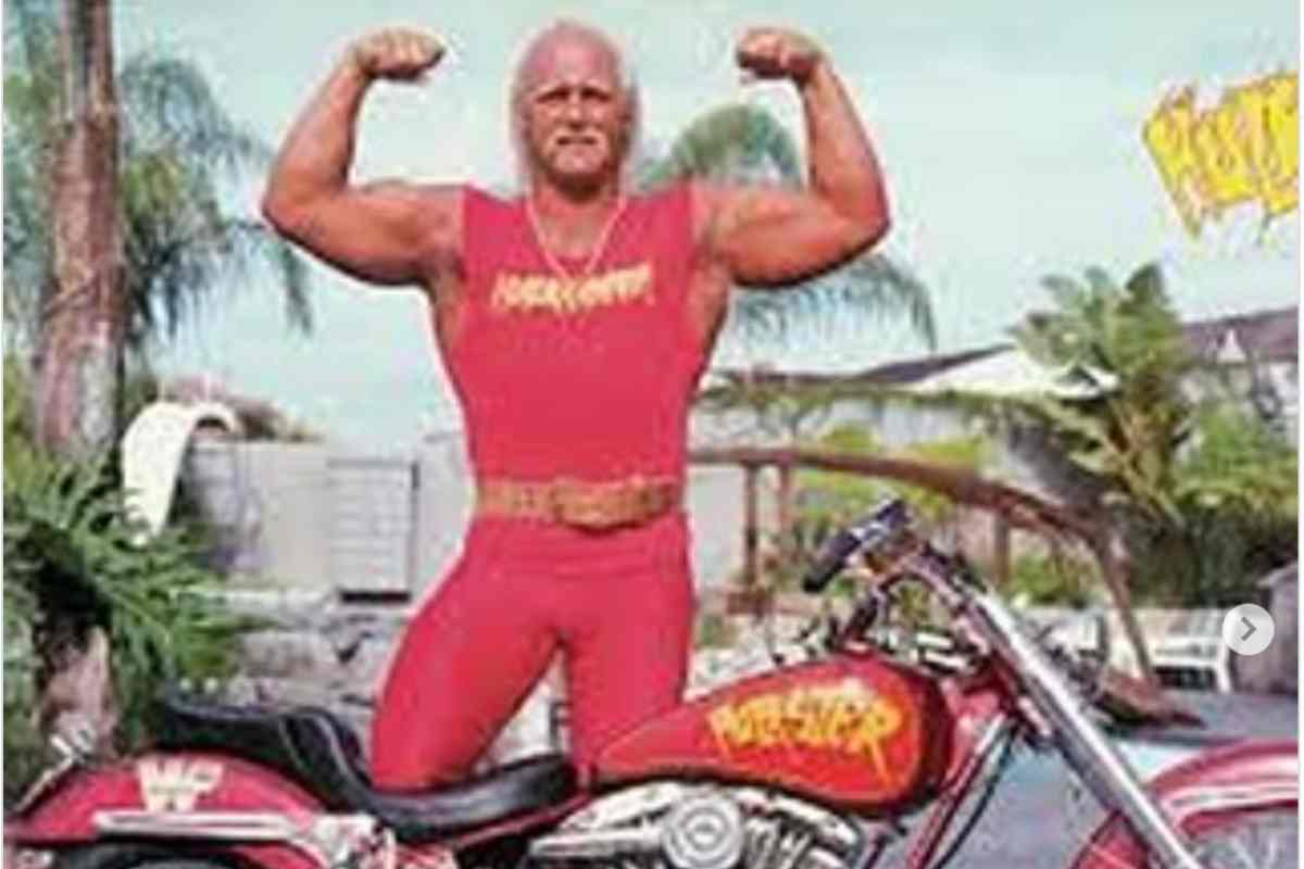 Hulk Hogan 