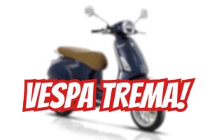 Vespa trema