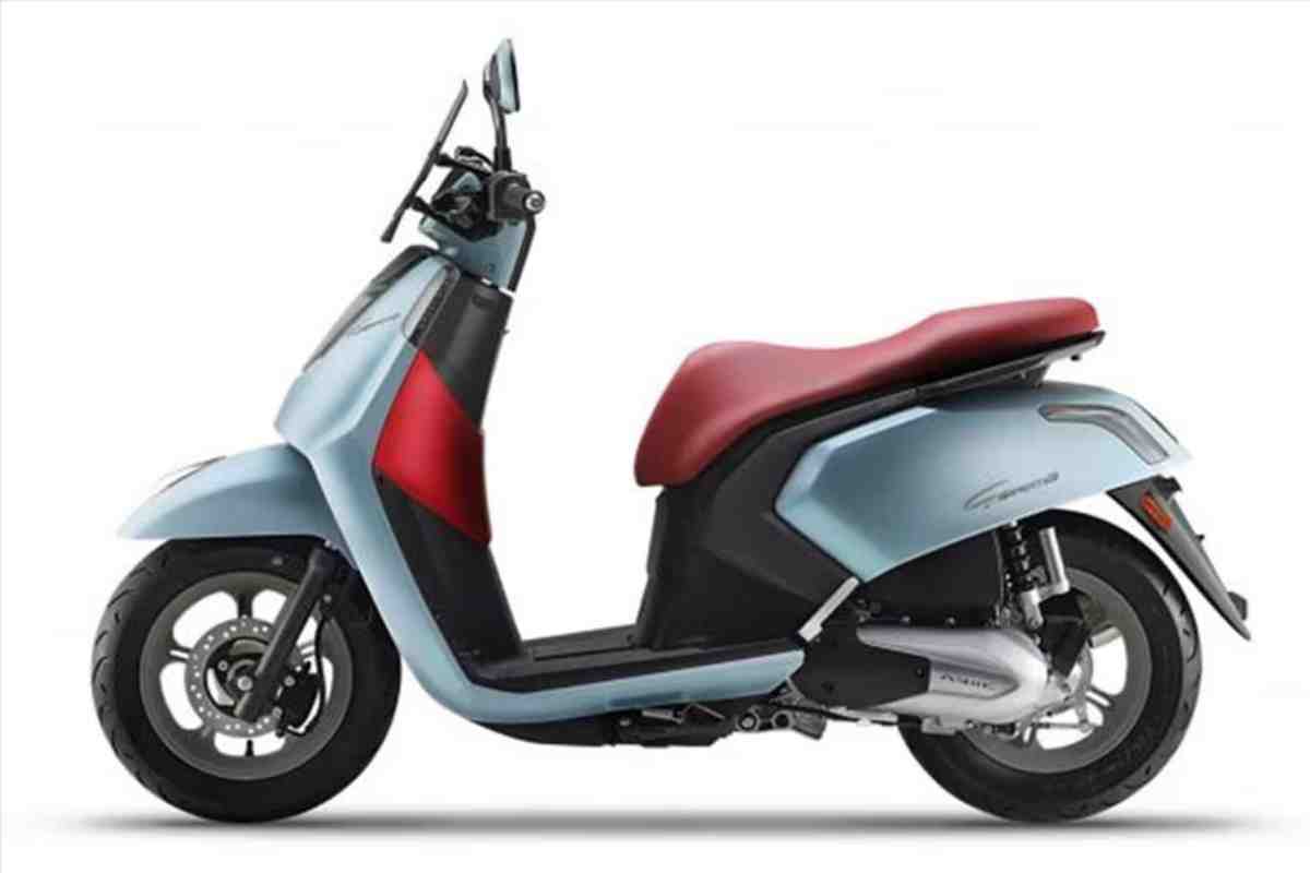 Vespa trema