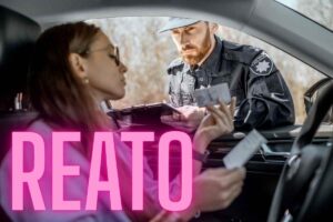 Cane autostrada abbandono Codice
