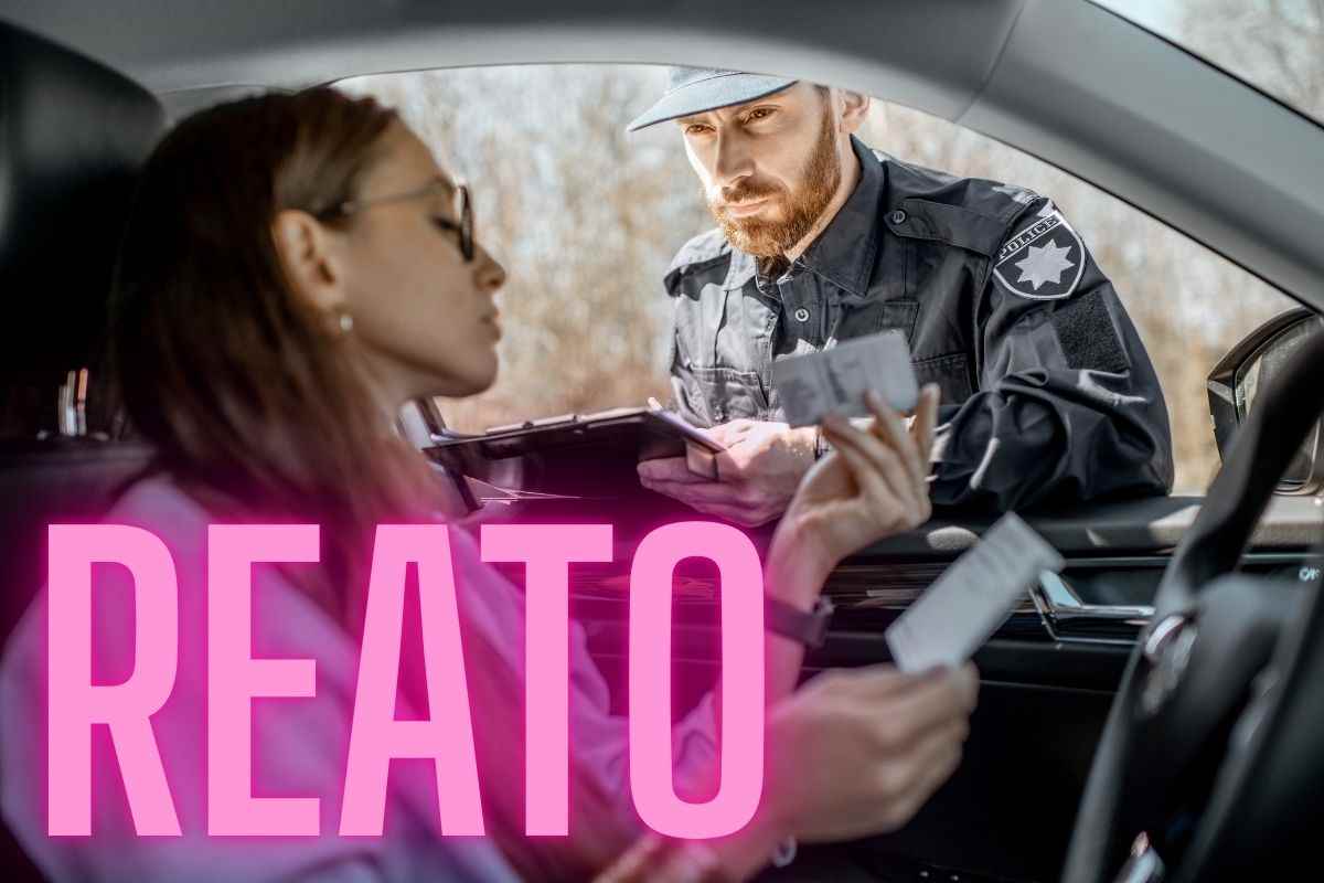Cane autostrada abbandono Codice