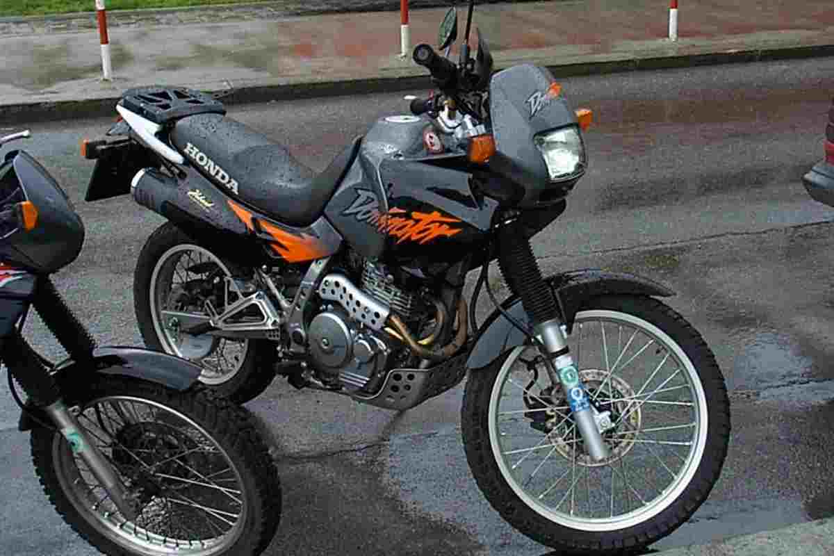 honda dominator