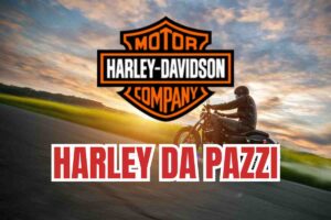 Harley mai vista