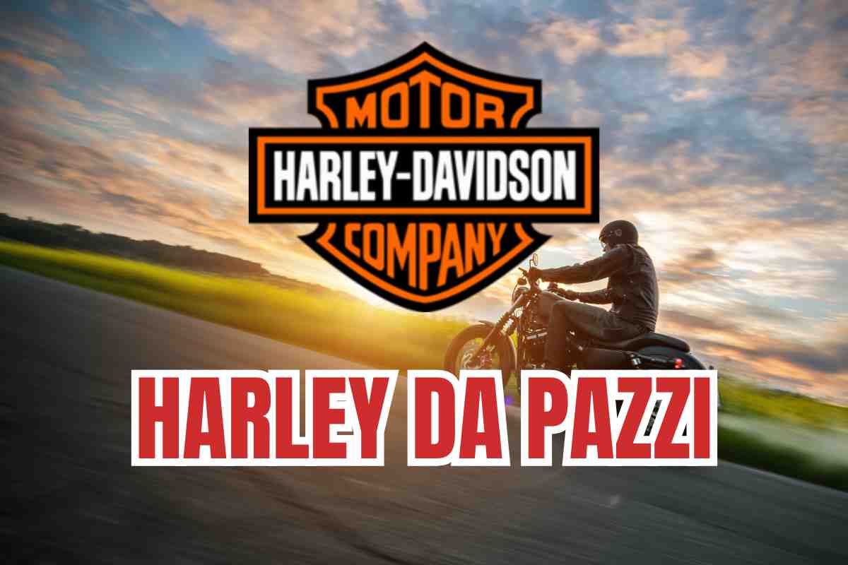 Harley mai vista