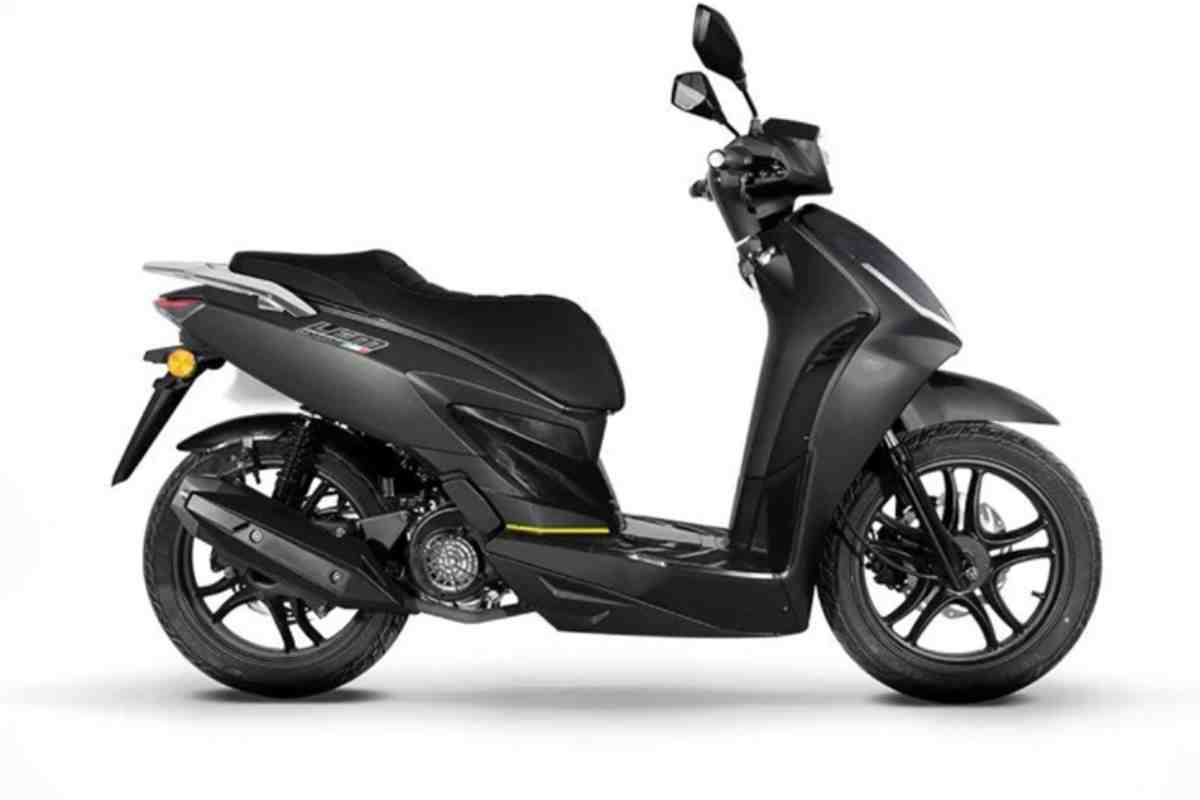 Vespa trema