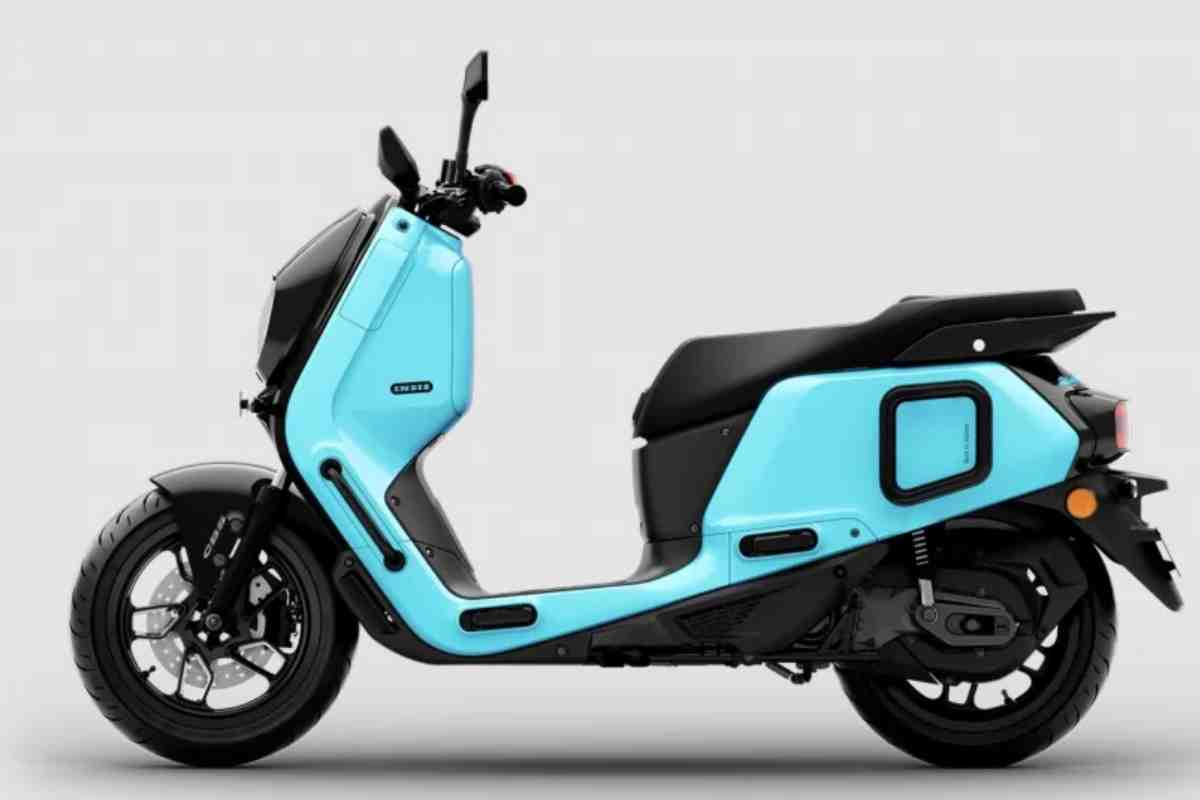 Vespa indiana
